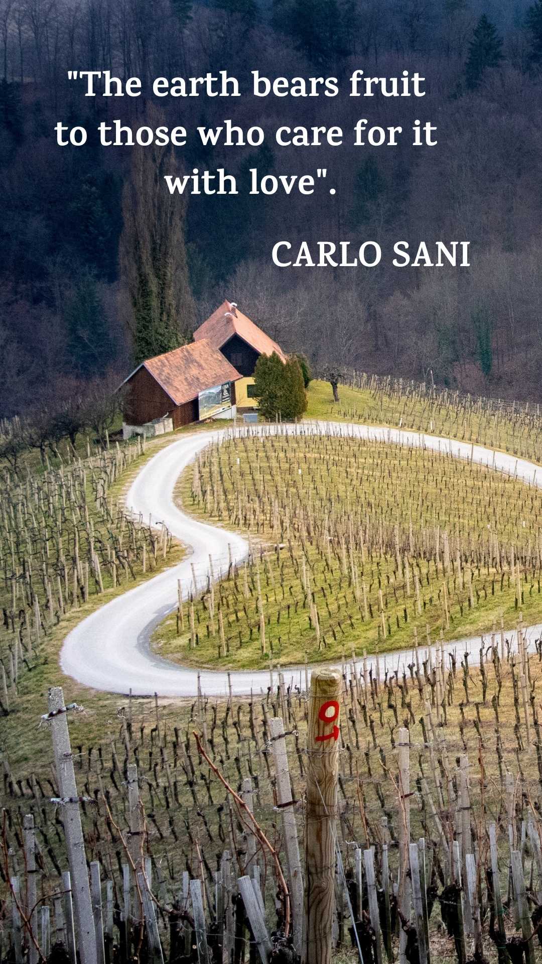 home SANI CELL